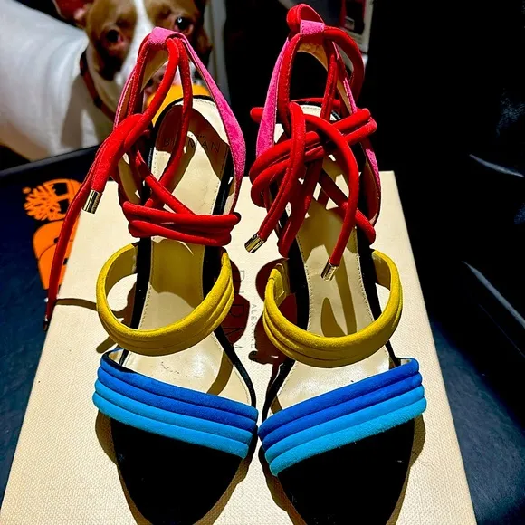 Alexandre Birman Sandals