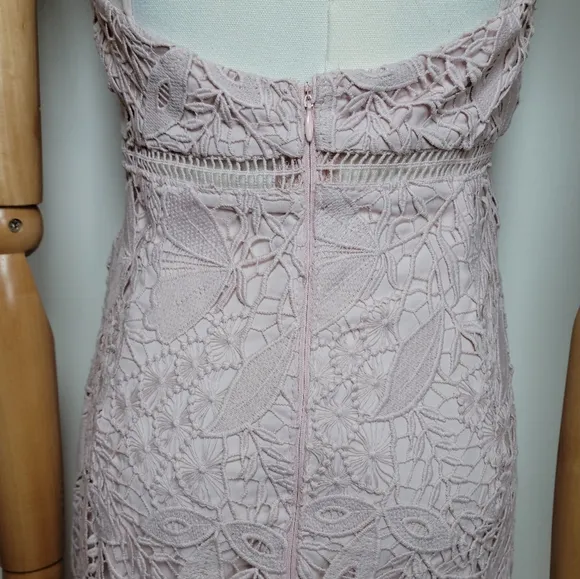 Bardot Willow Lace Cocktail Spring Floral Dress Soft Pink Size 6