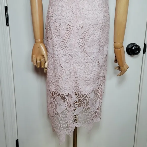 Bardot Willow Lace Cocktail Spring Floral Dress Soft Pink Size 6