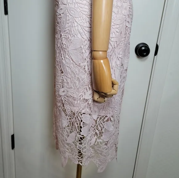 Bardot Willow Lace Cocktail Spring Floral Dress Soft Pink Size 6