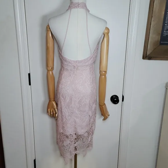 Bardot Willow Lace Cocktail Spring Floral Dress Soft Pink Size 6