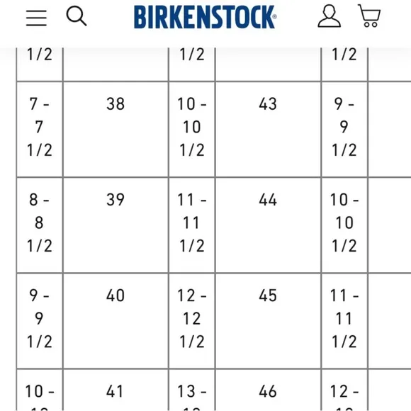 Birkenstock Papillio wedge sandals