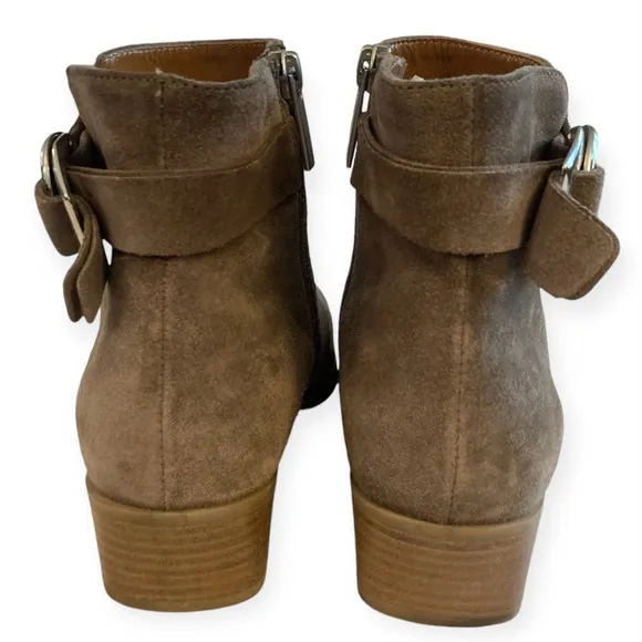 🎉🎉DELETING TODAY🎉 Aquatalia Faria Booties Taupe Brown Suede Ankle Boots 8 Buckle
