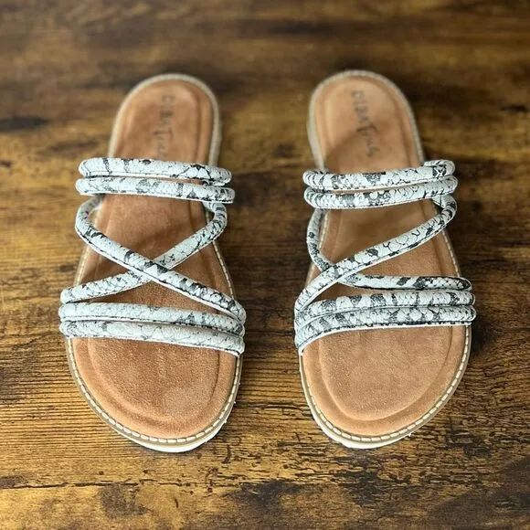 Diba True Cedar Cove Leather Strappy Slide Sandals in Gray Snakes, Size 6. New!