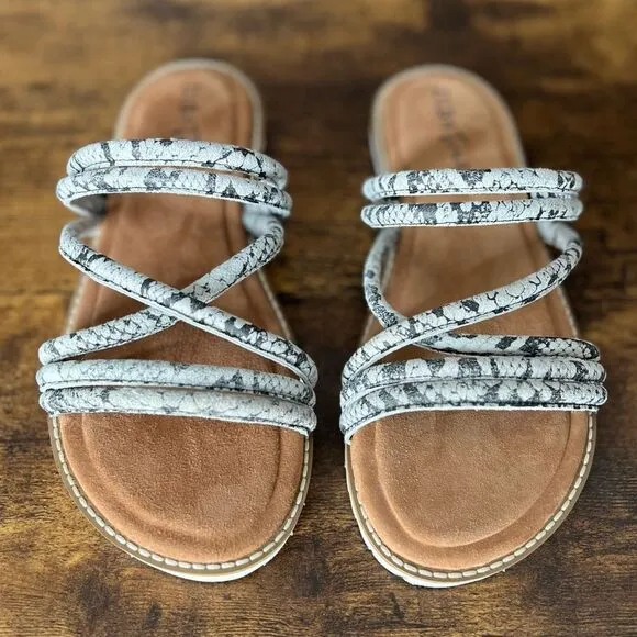 Diba True Cedar Cove Leather Strappy Slide Sandals in Gray Snakes, Size 6. New!