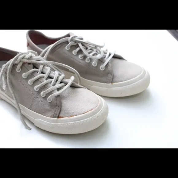 Frye Gia sneakers