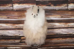 Llama Figurine Original Fur Beige and White Color 6.5" Inch.