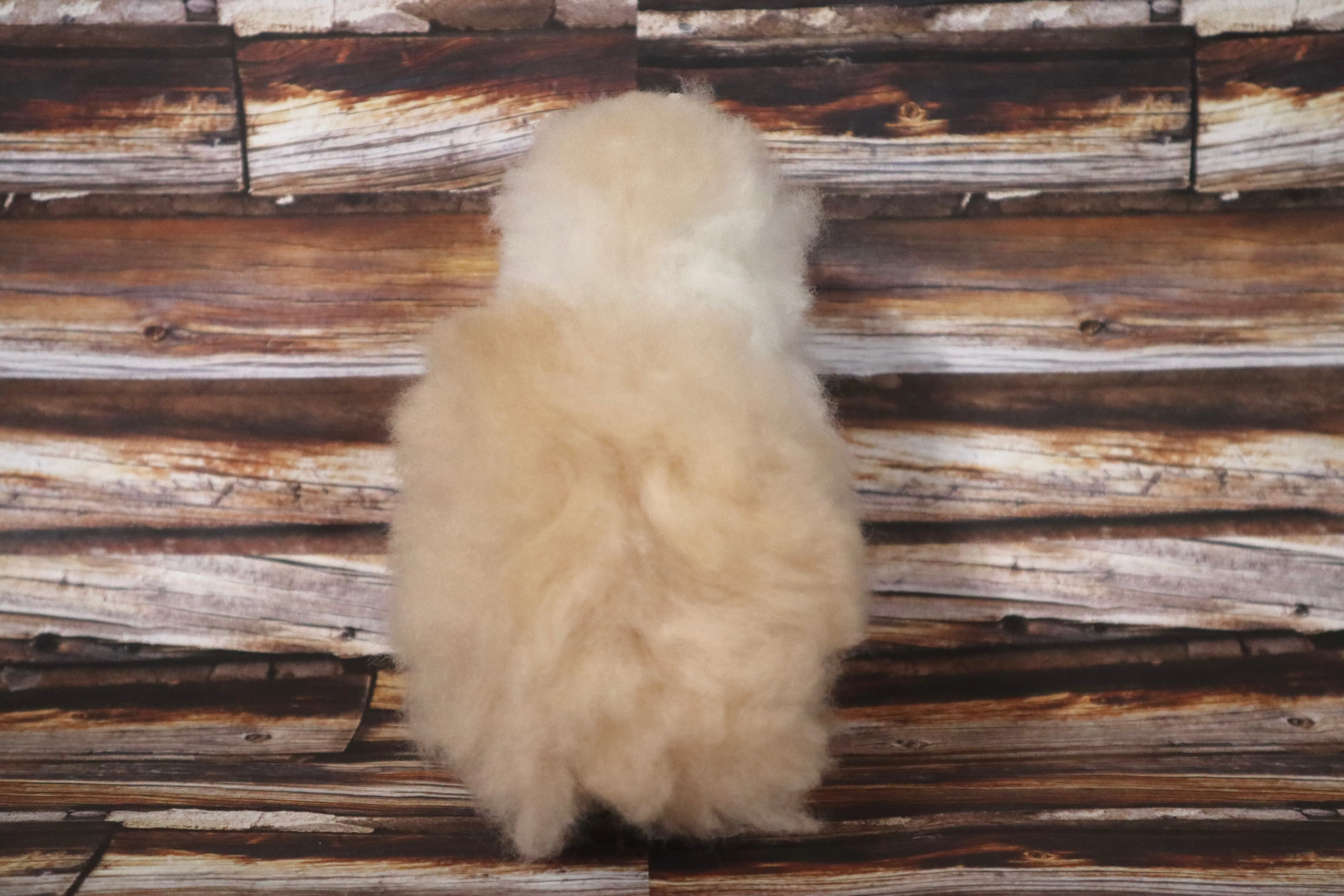 Llama Figurine Original Fur Beige and White Color 6.5" Inch.