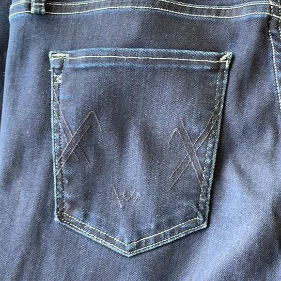 McGuire High Rise Newton Skinny Jean in Morning Glory Size 31