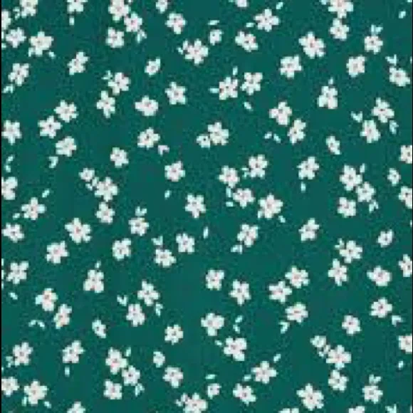 Reformation floral dress size 0